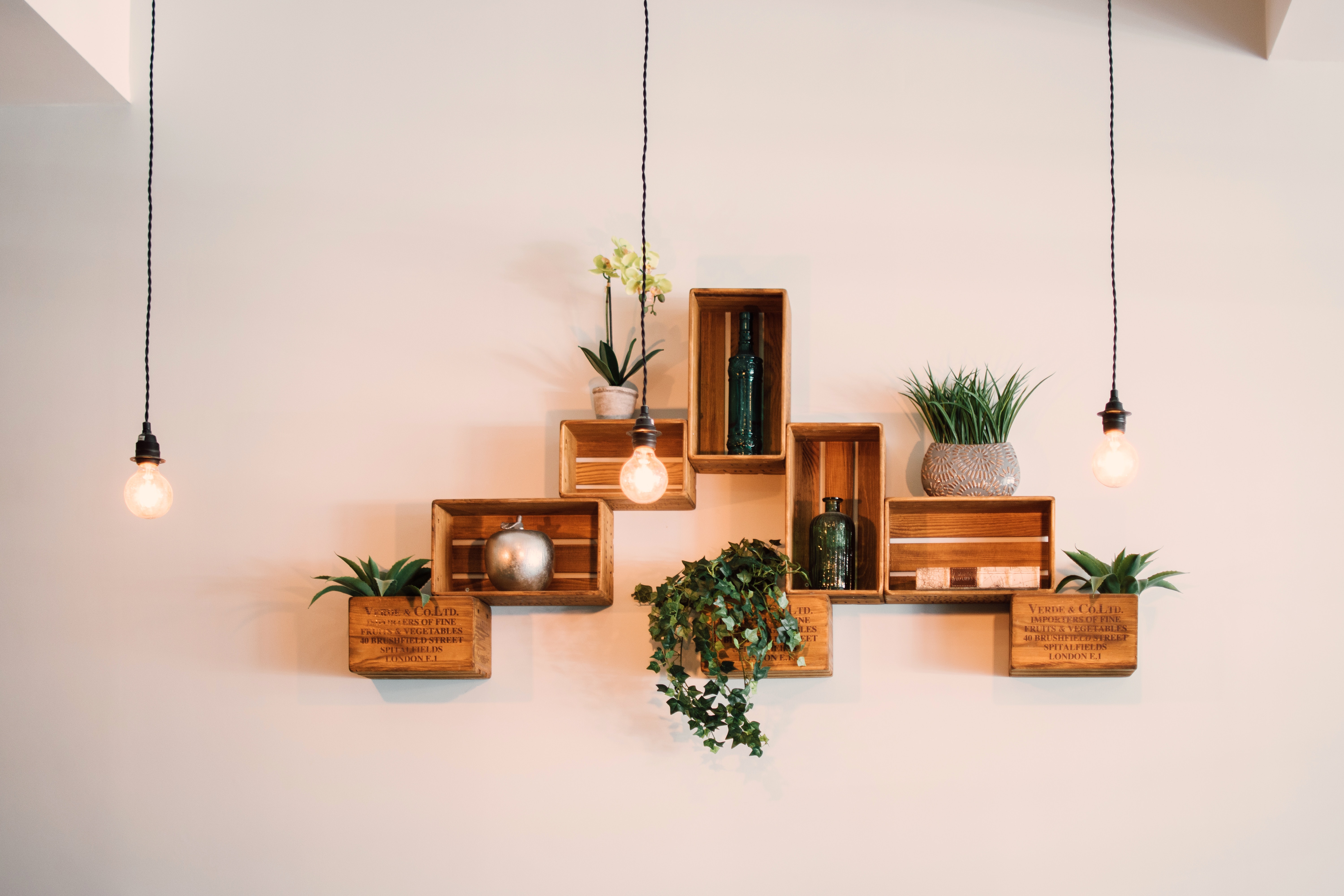 Wooden crate shelves with plants and hanging Edison bulbs against a warm wall